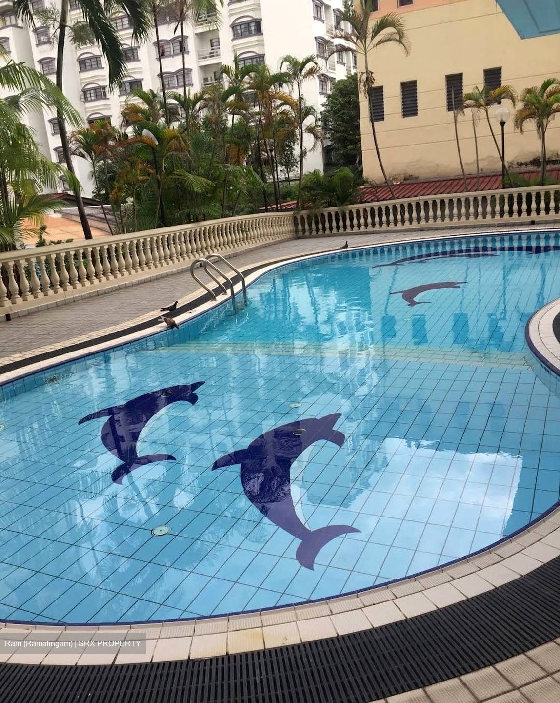 St Francis Court (D12), Apartment #523450541